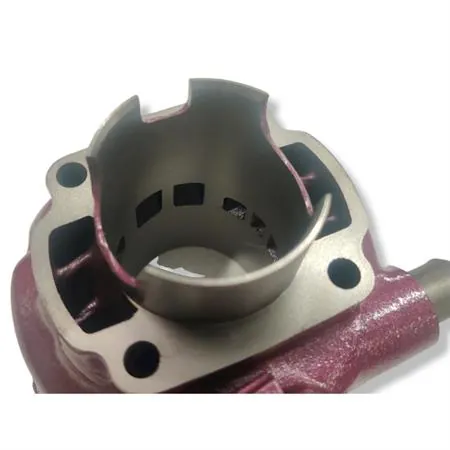 Motore gruppo termico Racing Due Plus in ghisa con testa monopezzo raffreddamento a liquido, ricambio 9912800