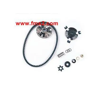 Variatore top performance con cinghiolo