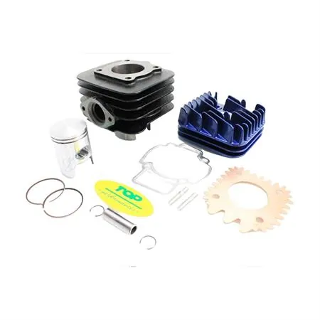 Motore gruppo termico top performance trophy diametro 40 mm (cilindrata 50 cc), ricambio 9914500