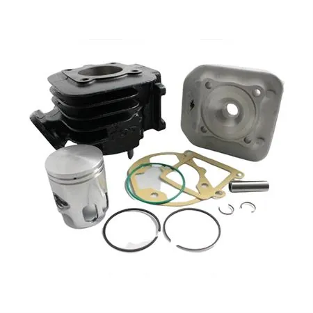 Motore gruppo termico top performance trophy diametro 40 mm (cilindrata 50 cc), ricambio 9915850