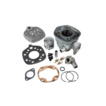 Motore gruppo termico top performance trophy diametro 47 mm (cilindrata 70 cc), ricambio 9917410