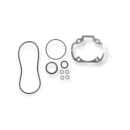 9920210 Guarnizioni peugeot h2o speedfight c/testa