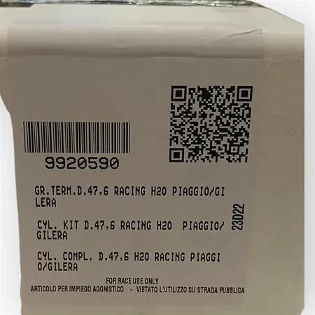 Motore gruppo termico Racing due plus Piaggio Gilera, ricambio 9920590