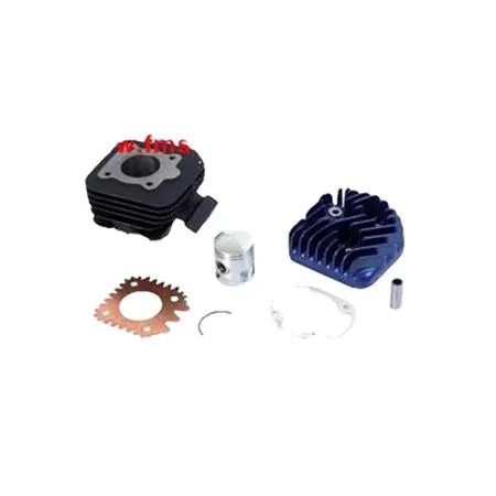 Motore gruppo termico Peugeot aria diametro 40 mm (cilindrata 50 cc) euro2, ricambio 9924770