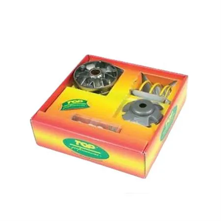 Variotop tpr Minarelli orizzontale e verticale (DR, HUTCHINSON e TOP PERFORMANCE), ricambio 9924790