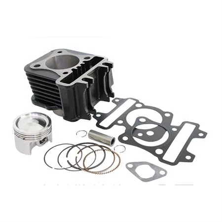 9925150 Motore gruppo termico diam. 49 mm Piaggio 4t