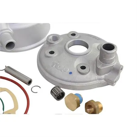 9928480 Motore gruppo termico motore top performance TPR 2 con diametro 47,6 mm spinotto 10 mm per scooter con motore Minarelli orizzontale raffreddati a liquido