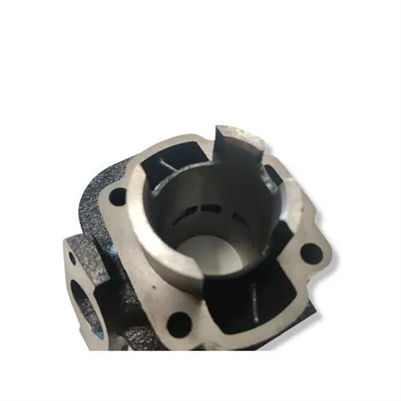 Gruppo termico black trophy d.40 ac, ricambio 9931190