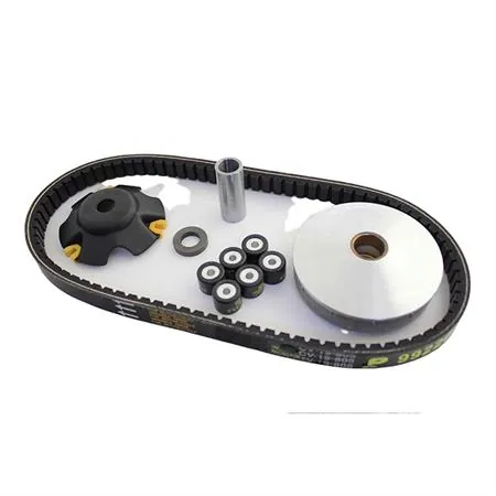 Variatore variotop TPR gp scooter piaggio nrg 50, ricambio 9931300