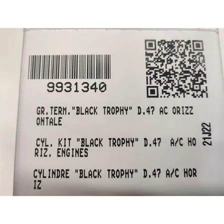 9931340 Motore gruppo termico top performance modello black trophy in ghisa con diametro 47 mm (cilindrata 70 cc) per scooter con motore Minarelli orizzontale
