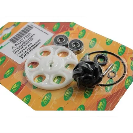 Kit revisione pompa acqua, ricambio AA00788