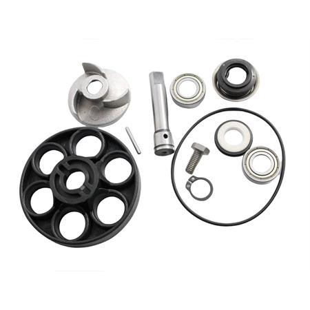 Kit revisione pompa acqua Suzuki katana, ricambio AA00808