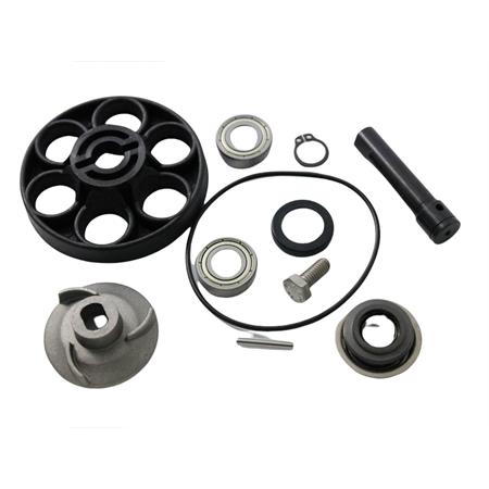 Kit revisione pompa acqua Suzuki katana, ricambio AA00809