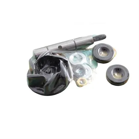 Kit revisione pompa h2o derbi/piaggio motore  d50b0, ricambio AA00825