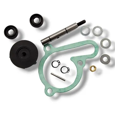 Kit revisione pompa h2o derbi/piaggio motore  d50b0, ricambio AA00825