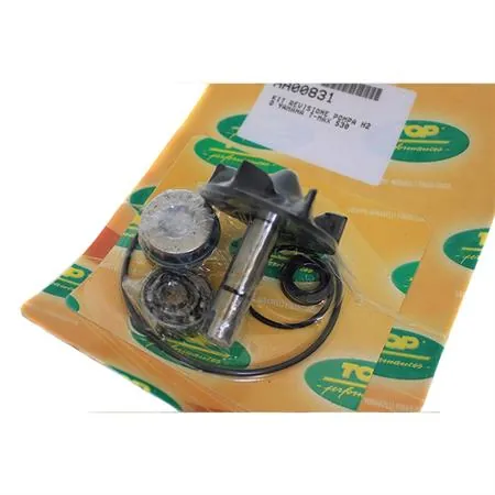 Kit revisione pompa acqua Yamaha T-MAX 530, ricambio AA00831