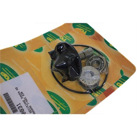 Kit revisione pompa acqua Yamaha T-MAX 530, ricambio AA00831