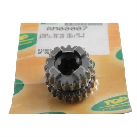 Ingranaggio 3° e 4° velocità su primario z19=22