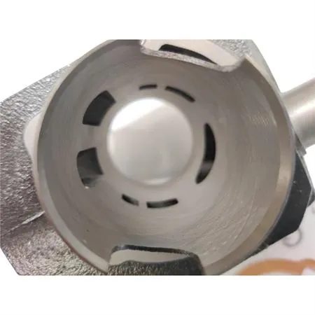 Motore gruppo termico completo di pistone diametro 43 mm (cilindrata 60 cc) e spinotto diametro 10 mm per Piaggio Ciao, Si, Boxer, Grillo, Bravo senza testa, ricambio KT00067