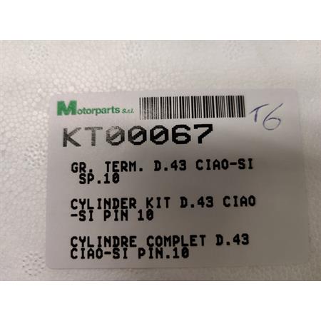 Motore gruppo termico completo di pistone diametro 43 mm (cilindrata 60 cc) e spinotto diametro 10 mm per Piaggio Ciao, Si, Boxer, Grillo, Bravo senza testa, ricambio KT00067