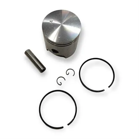 Motore gruppo termico kit diametro 47 per motore orizzontale, ricambio KT00087