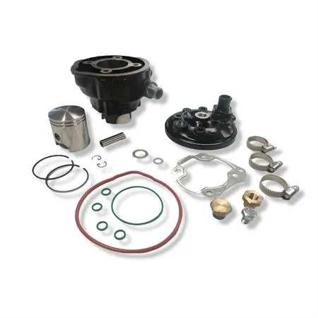 KT00109 Motore gruppo termico diametro 47 per SR  acqua