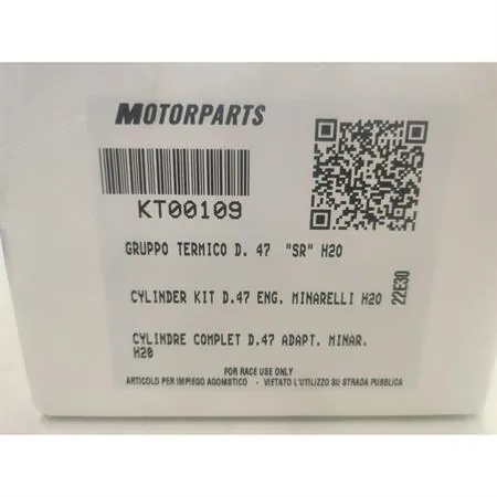 KT00109 Motore gruppo termico diametro 47 per SR  acqua