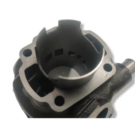 KT00109 Motore gruppo termico diametro 47 per SR  acqua