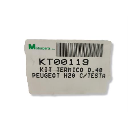 Motore gruppo termico diametro 40 per Peugeot acqua completo di testa, ricambio KT00119