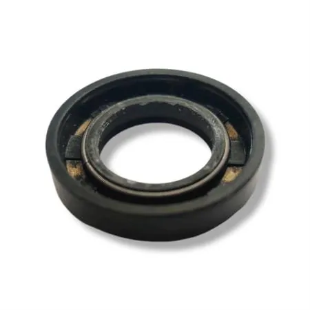 P173060 Paraolio babsl 17x30x6-6.5