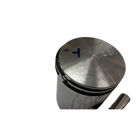 Pistone completo diam. 40,3 mm (am345/6), ricambio PT00104