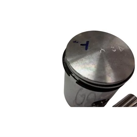 Pistone completo diam. 40,3 mm (am345/6), ricambio PT00104