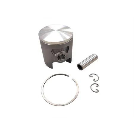 22273040 Pistone Polini corsa spinotto 12 diametro 47.40 mon (Vertex)