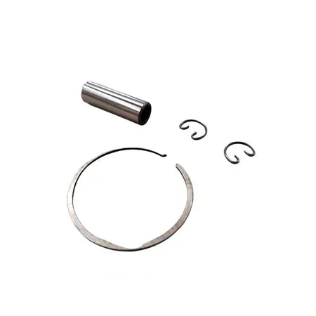 22273040 Pistone Polini corsa spinotto 12 diametro 47.40 mon (Vertex)