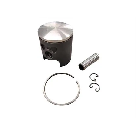 22273080 Pistone Polini corsa spinotto 12 diametro 47.80 mon (Vertex)