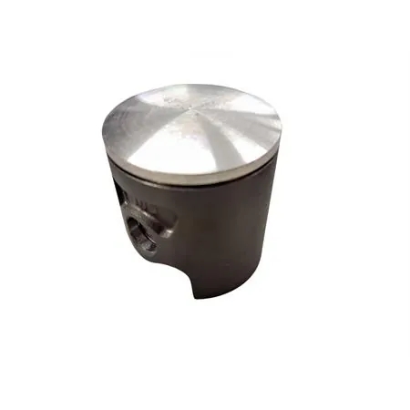 22273080 Pistone Polini corsa spinotto 12 diametro 47.80 mon (Vertex)
