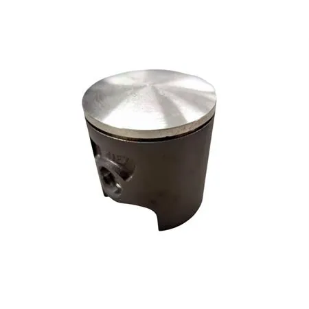 22273080 Pistone Polini corsa spinotto 12 diametro 47.80 mon (Vertex)