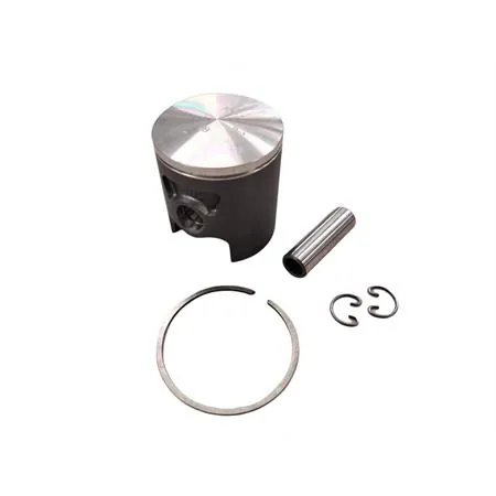 22273100 Pistone Polini corsa spinotto 12 d.48.00 mon (Vertex)