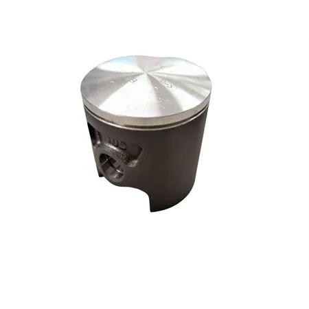 22273100 Pistone Polini corsa spinotto 12 d.48.00 mon (Vertex)