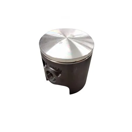 22273100 Pistone Polini corsa spinotto 12 d.48.00 mon (Vertex)