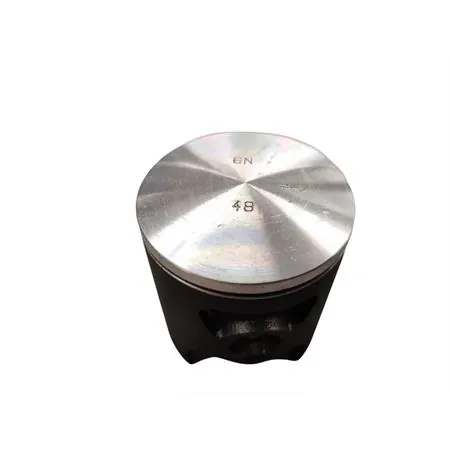 22273100 Pistone Polini corsa spinotto 12 d.48.00 mon (Vertex)