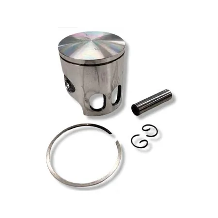 Pistone Polini diametro 47 monofascia sel.e (Vertex), ricambio 22425E