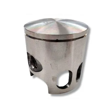 Pistone Polini diametro 47 monofascia sel.e (Vertex), ricambio 22425E