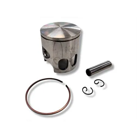 Pistone Polini diametro 47 monofascia sel.f spinotto 10 (Vertex), ricambio 22425F