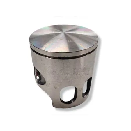 Pistone Polini diametro 47 monofascia sel.f spinotto 10 (Vertex), ricambio 22425F