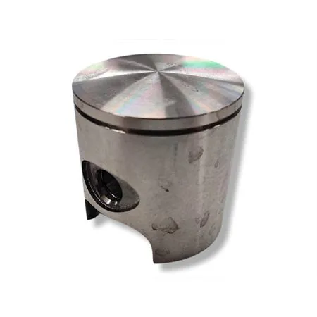 Pistone Polini diametro 47 monofascia sel.f spinotto 10 (Vertex), ricambio 22425F