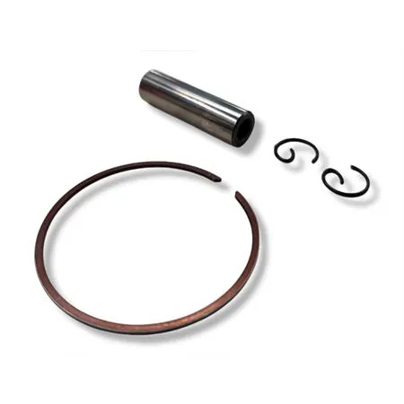 Pistone Polini diametro 47 monofascia sel.f spinotto 10 (Vertex), ricambio 22425F