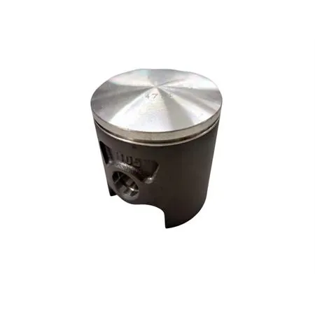 2273040 Pistone Polini corsa spinotto 12 diametro 47.40 mon (Vertex)