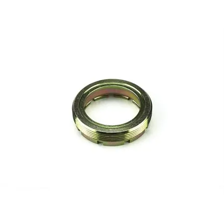 Ghiera filettata porta paraolio ruota posteriore ss 180 (LV2), ricambio 60016900