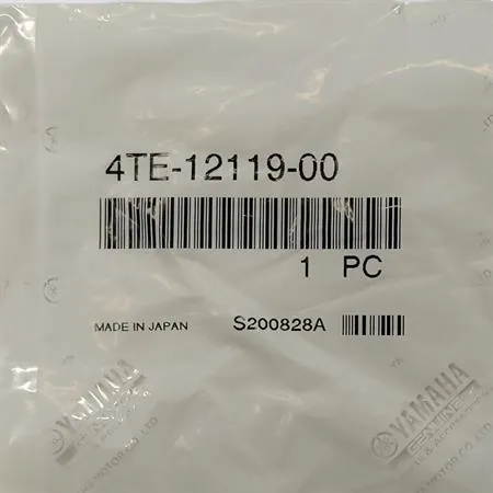 4TE121190000 Paraolio valvola Yamaha